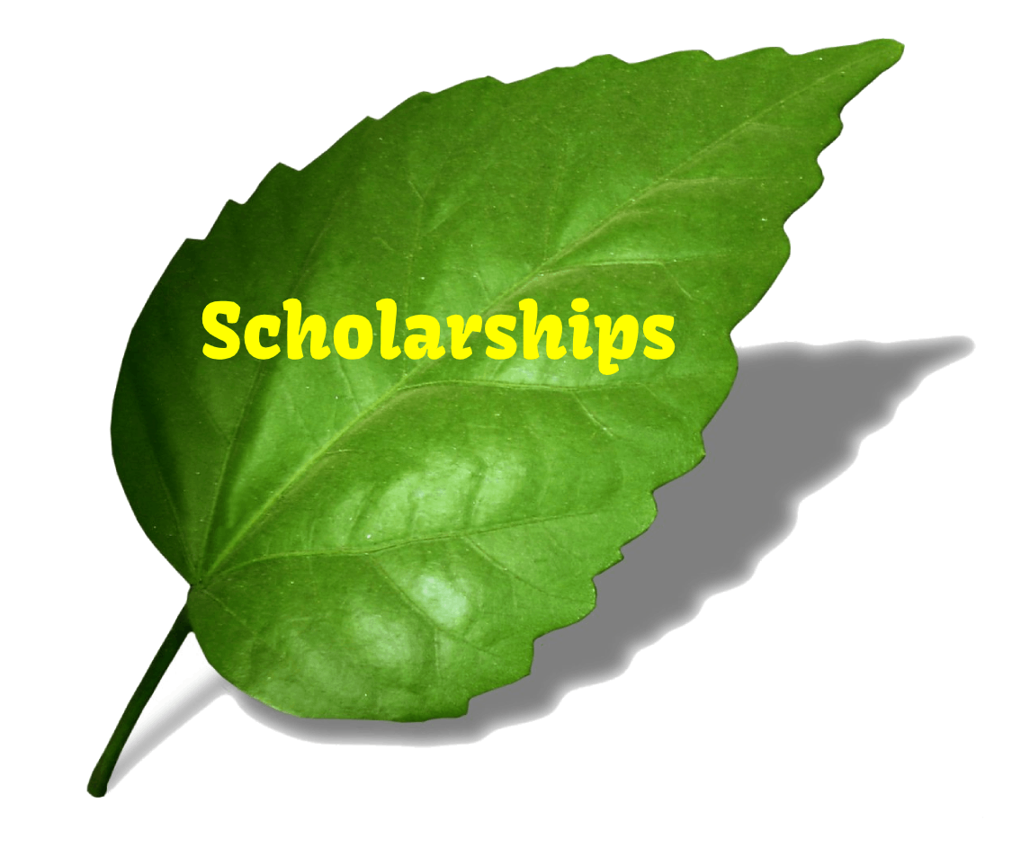 Scholarships